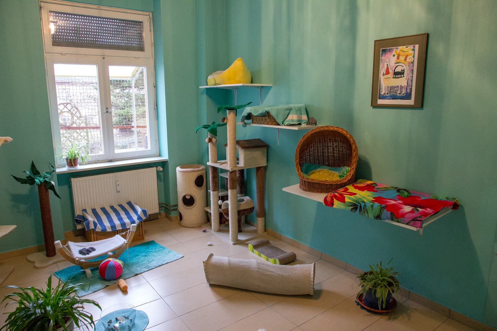 Katzenpension Bastet Zimmer 1